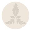 rue_trousseau